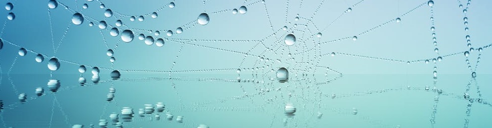 optik inspektor koexistenz im netzwerk stärkt durch synergien